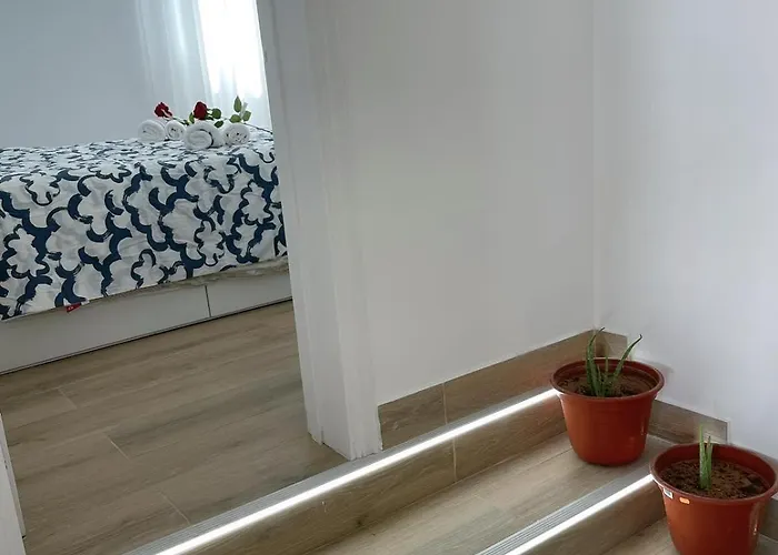 Tony 플라야블랑카